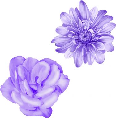 Güzel bahar çiçekleri