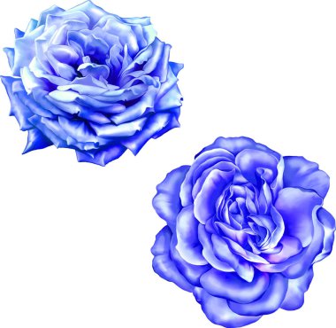 güzel çiçek çizimi