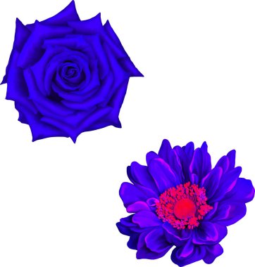 Güzel bahar çiçekleri