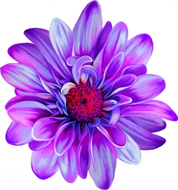 Güzel Bahar Çiçeği