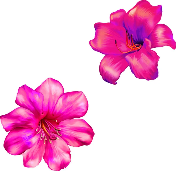 Illustration von schönen Blumen — Stockfoto