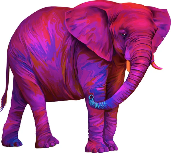 Illustration of African elephant — Stock Photo, Image