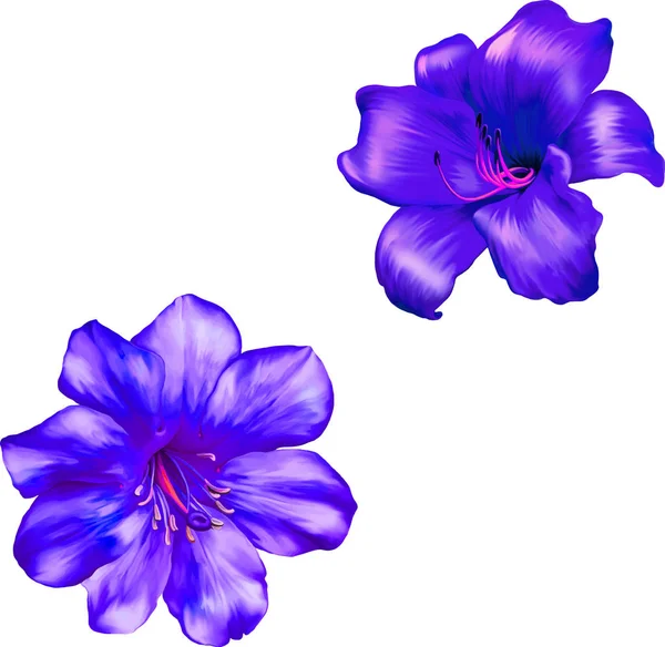Ilustracja kwiat piękny — Zdjęcie stockowe