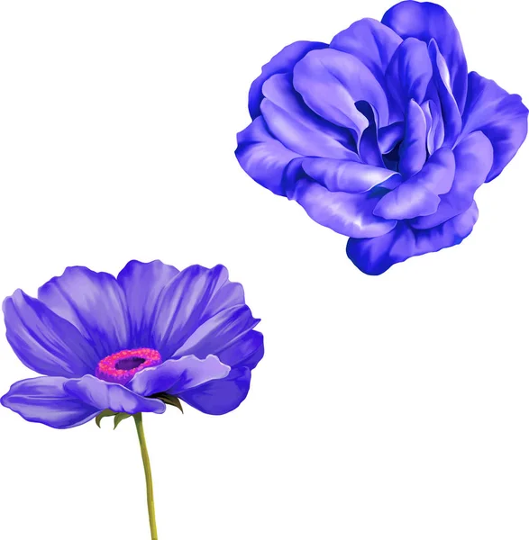 Ilustração de belas flores — Fotografia de Stock