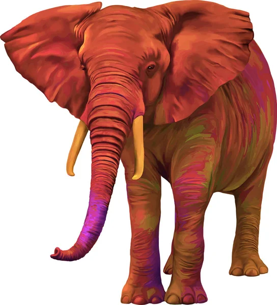 Illustration of African elephant — Stock Photo, Image