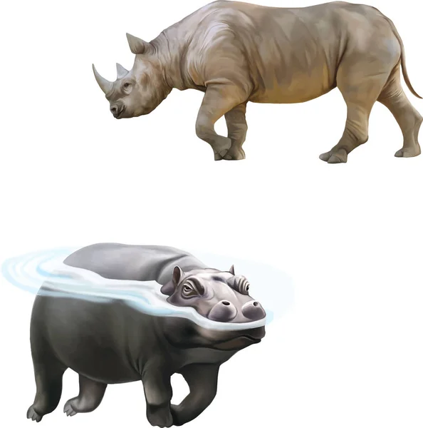 Ilustración de rinoceronte africano —  Fotos de Stock