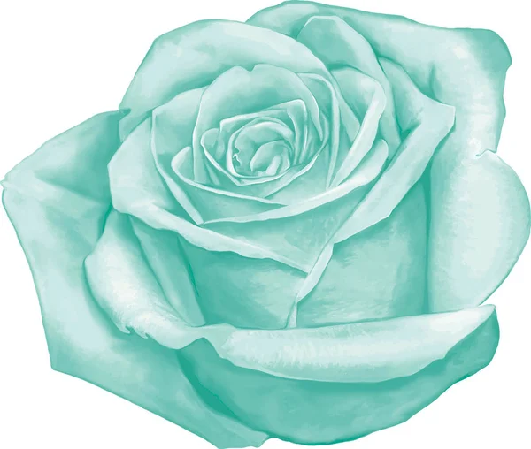 Rózsa virágbimbó — Stock Fotó