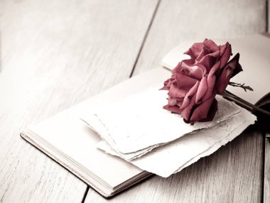 Red Rose on book
