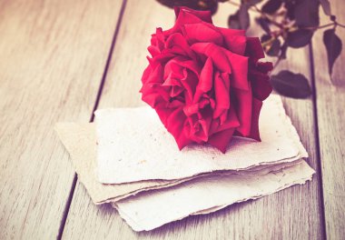 Red Rose on book