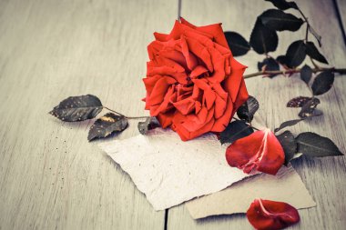 romantik rose ve mektup