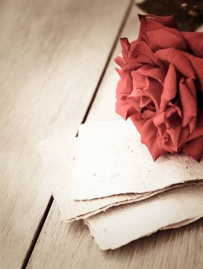 Red Rose on book