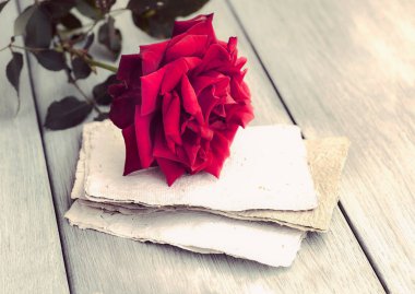 Red Rose on book