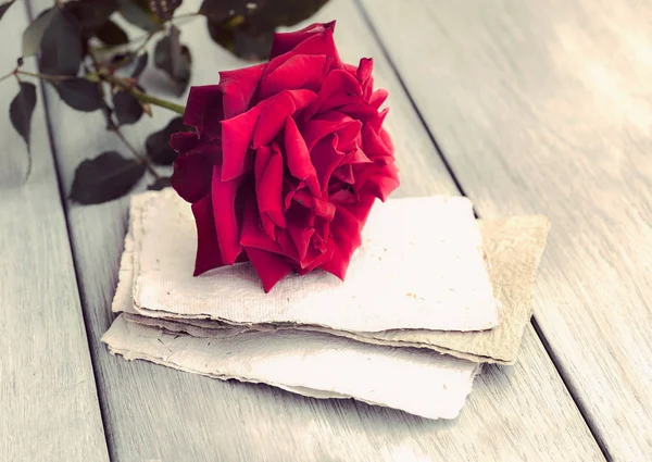 Red Rose on book