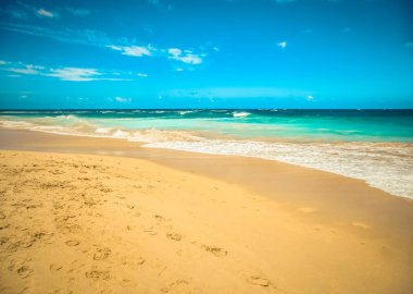 Güzel sahil ve tropikal deniz