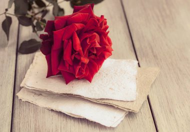 Red Rose on book