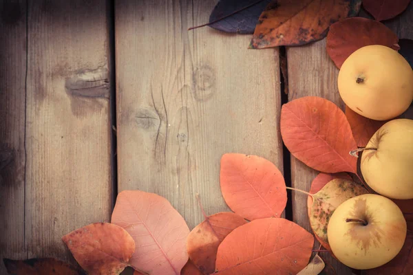 Sonbahar renk arka plan