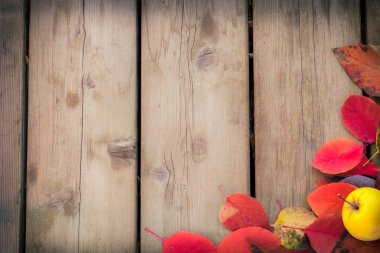 apple ile sonbahar yaprakları 