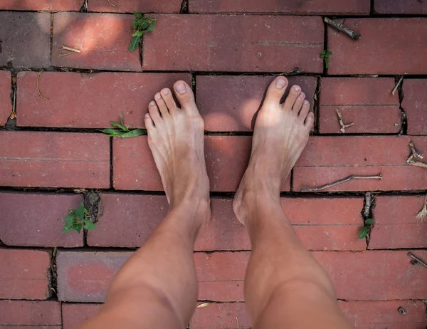 iki yalınayak ayak üzerinde kırmızı tuğla zemin, açık arka plan