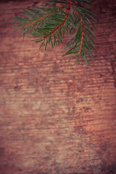 Rama Del Árbol Navidad Sobre Fondo Madera — Foto de Stock