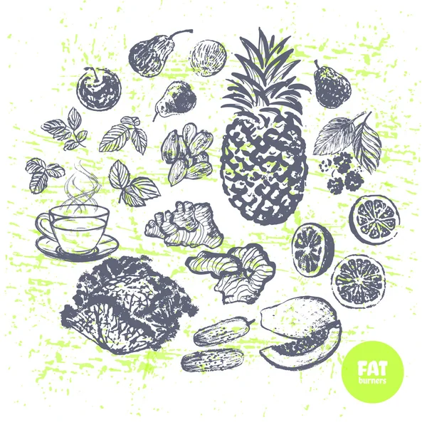 Tinta elaborada a mano quemadores de grasa frutas y verduras — Vector de stock