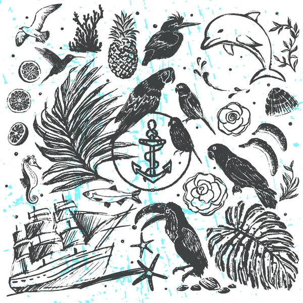 Ink hand drawn vector elements Tudo sobre Tropical Sea Vacations —  Vetores de Stock