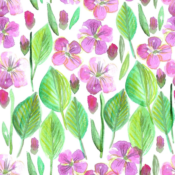 Padrão sem costura aquarela floral / design de flores Phlox — Fotografia de Stock