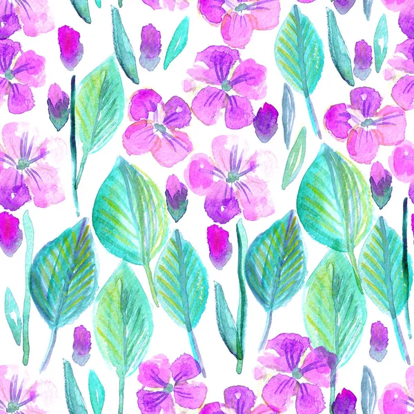 Kukka akvarelli saumaton kuvio / Phlox kukkia suunnittelu — kuvapankkivalokuva
