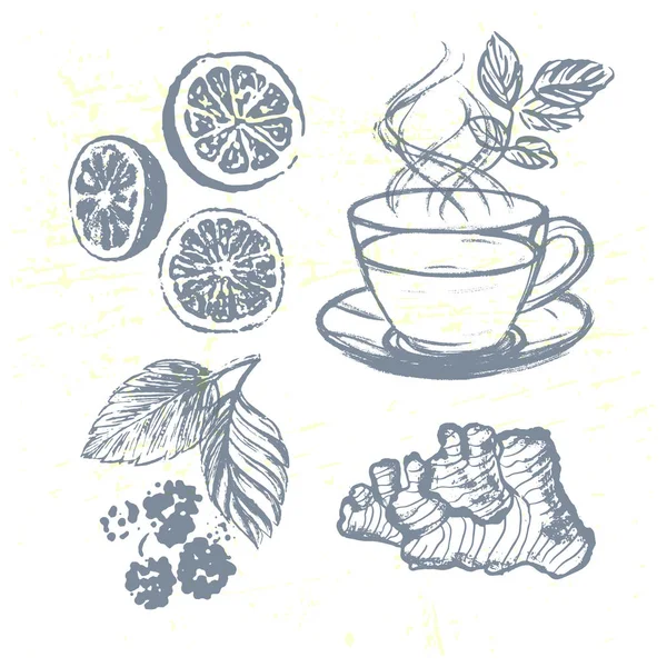 Tinta dibujada a mano Colección de elementos de té con jengibre, frambuesas y limones — Vector de stock