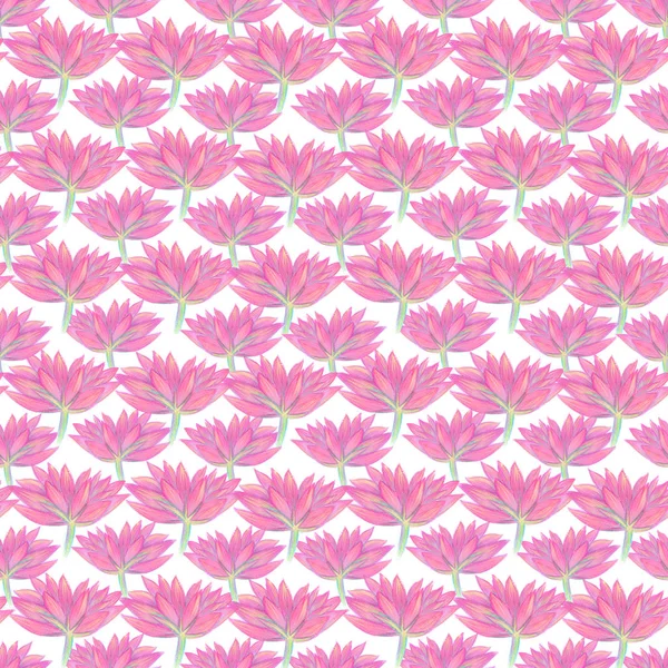 Diseño floral brillante sin costuras con flores rosadas —  Fotos de Stock