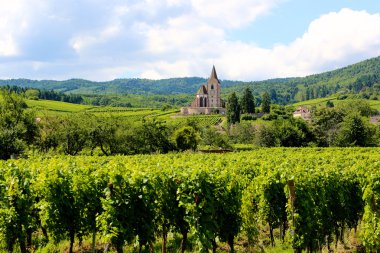 Alsace - güzel bölge ve tatil hedef Fransa
