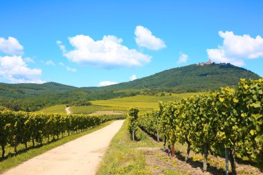 Alsace - güzel bölge ve tatil hedef Fransa