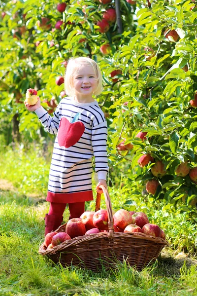 幼儿女孩从果园的树上摘苹果 — 图库照片