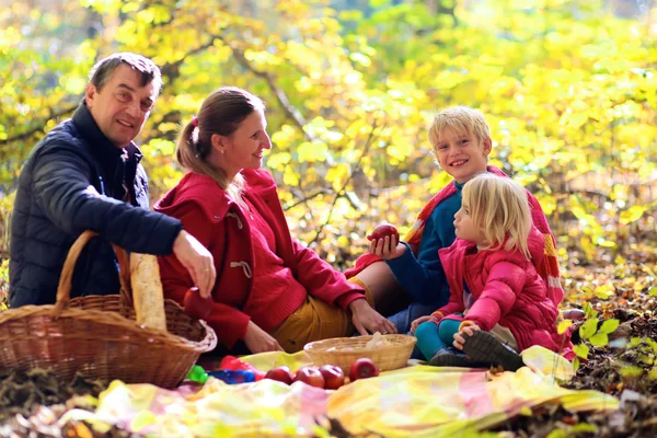 Parkta veya ormanda aile piknik — Stok fotoğraf