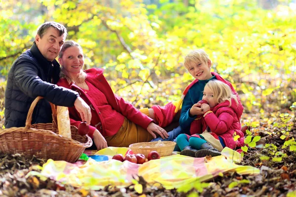公園や森の中での家族ピクニック — ストック写真