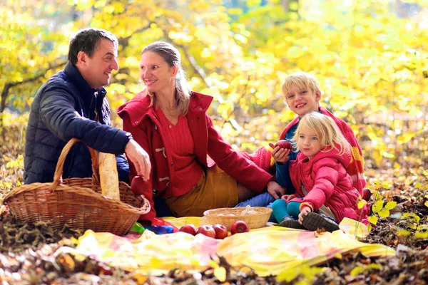 Családi picnicking a parkban vagy erdőben — Stock Fotó