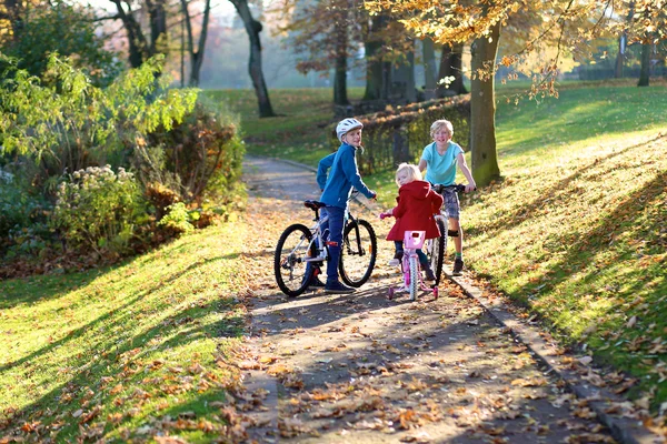Niños montando bicicletas en el parque — Foto de Stock