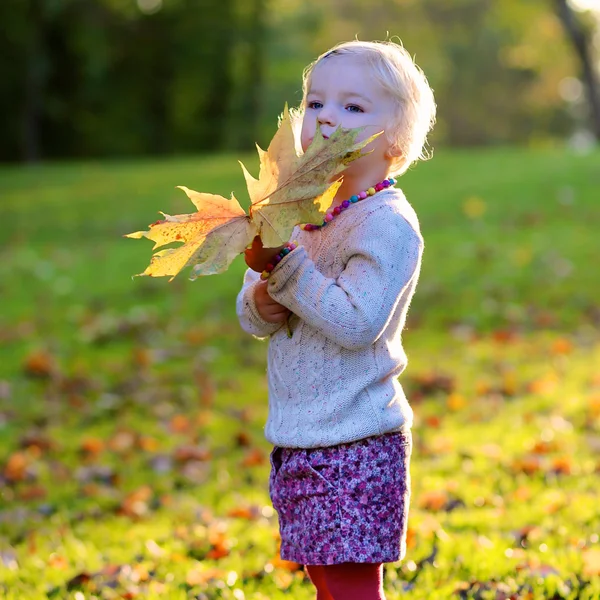 Kleines Mädchen genießt sonnigen Tag im Wald oder Park — Stockfoto