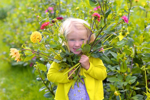 Liten flicka plocka blommor i fältet — Stockfoto