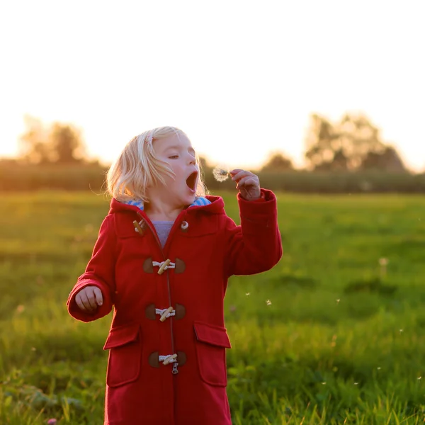 Liten flicka utomhus vid solnedgången — Stockfoto