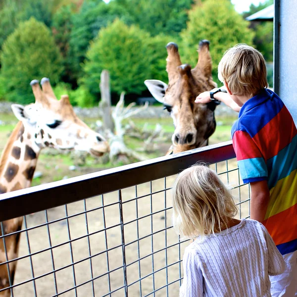 Family enjoying day at the zoo — Stock Photo, Image