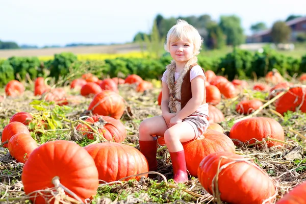 Petite fille au champ de citrouilles — Photo