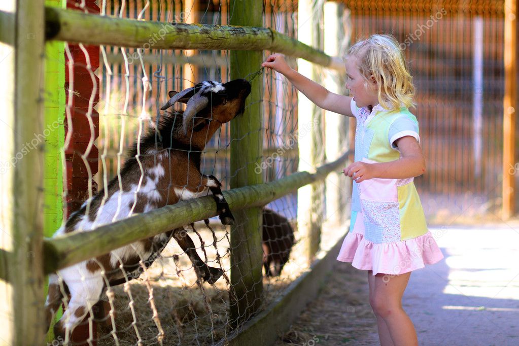 Funny little girl feeding farm animals Stock Photo by ©CroMary 126834430 Funny little girl feeding farm animals Stock Photo by ©CroMary 126834430