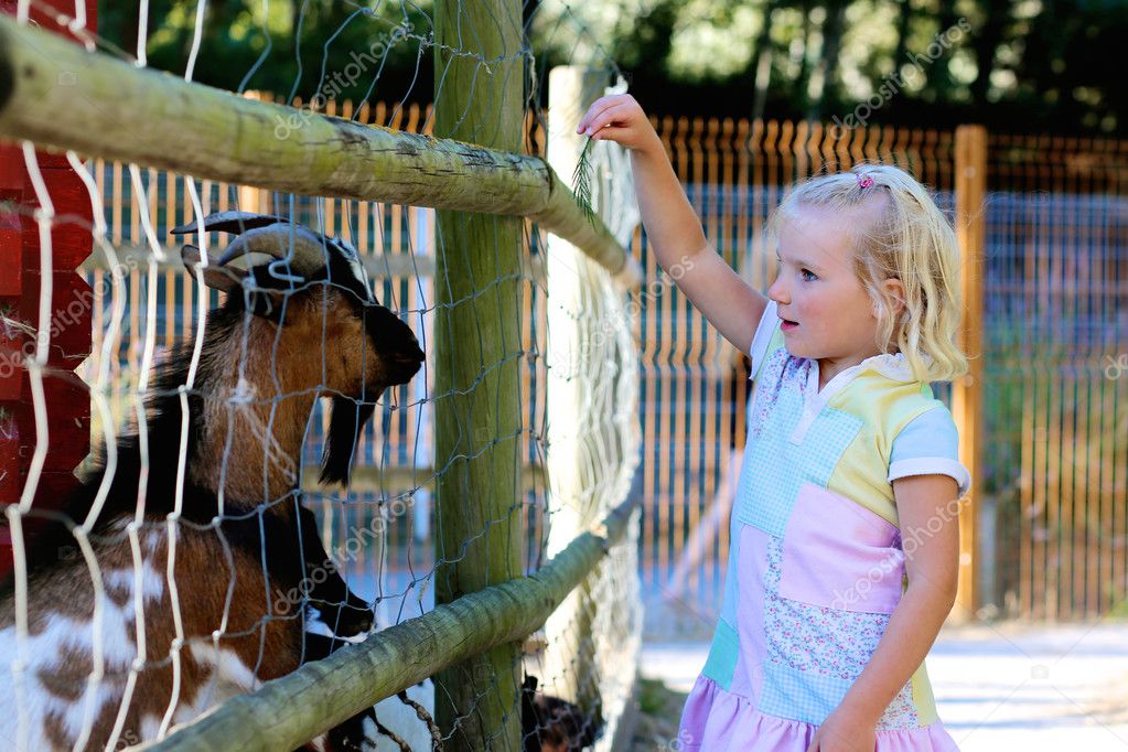 Funny little girl feeding farm animals Stock Photo by ©CroMary 126834448 Funny little girl feeding farm animals Stock Photo by ©CroMary 126834448