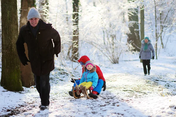 Großeltern mit Enkeln genießen verschneiten Wald — Stockfoto