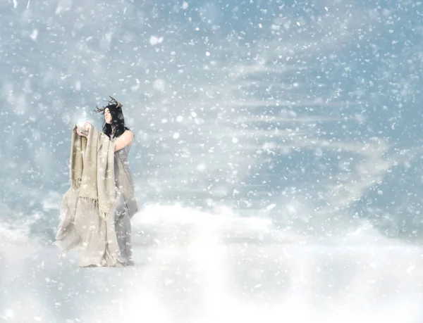 Снежная Королева Снежные Бури — стоковое фото