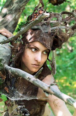 Orman perisi eski kuru ağaç dallarında