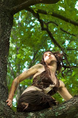 Orman perisi eski bir meşe ağacının dalına oturuyor