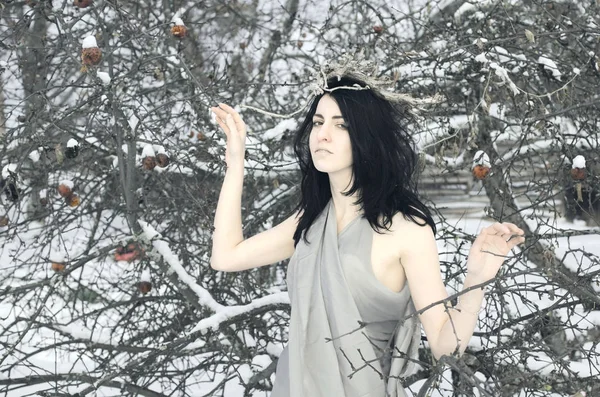雪凍結の木の枝の女王 — ストック写真