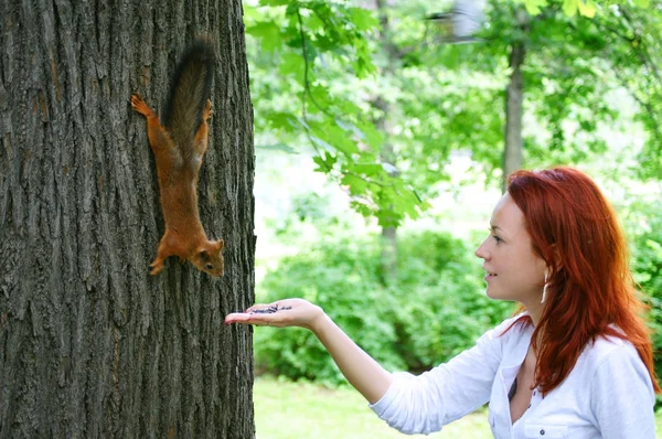 Kızıl Saçlı Kadın Parkta Kızıl Sincap Besleme — Stok fotoğraf