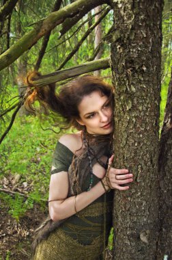 bir ağaç sarılma orman cadı